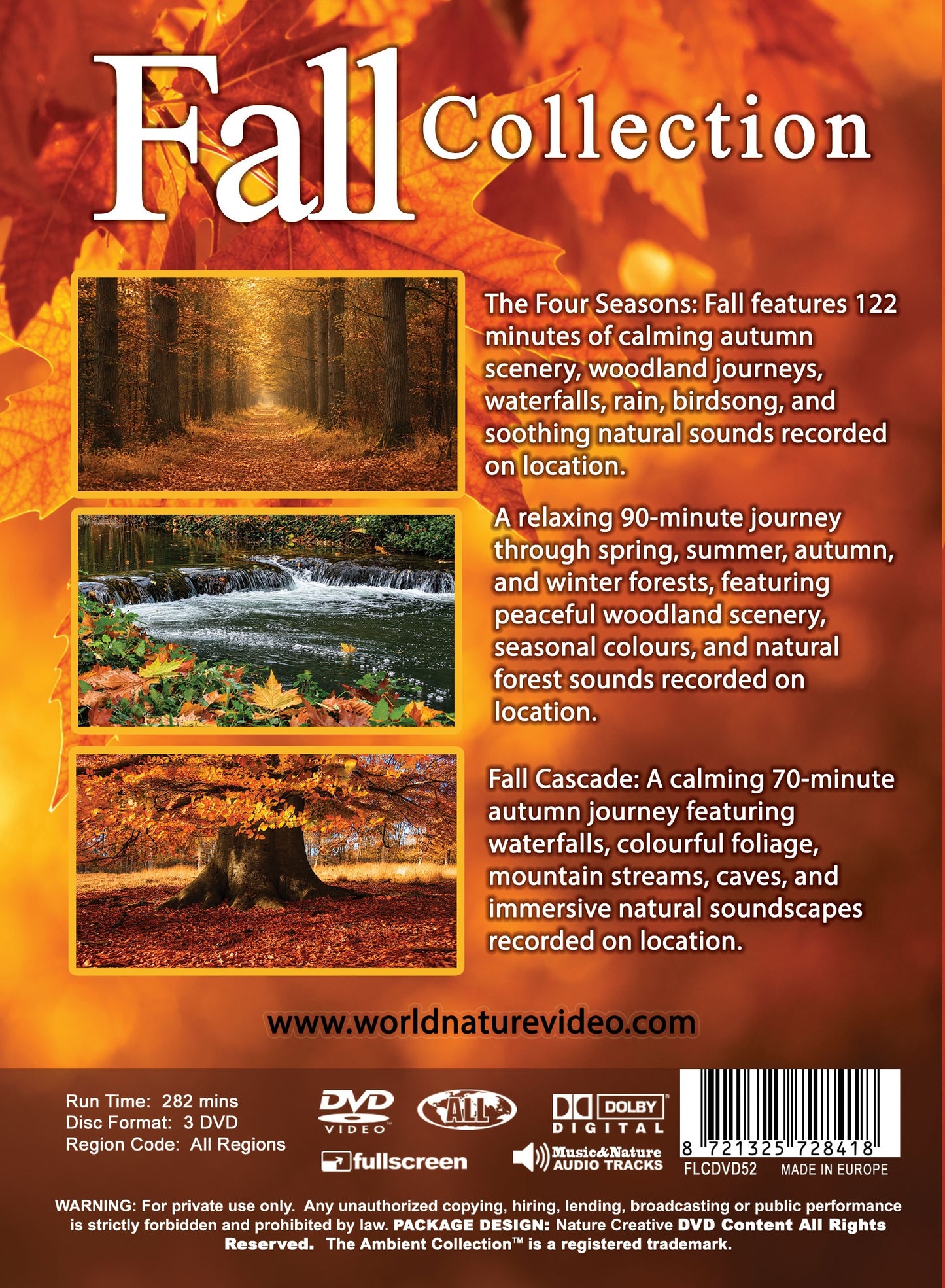 Fall Collection