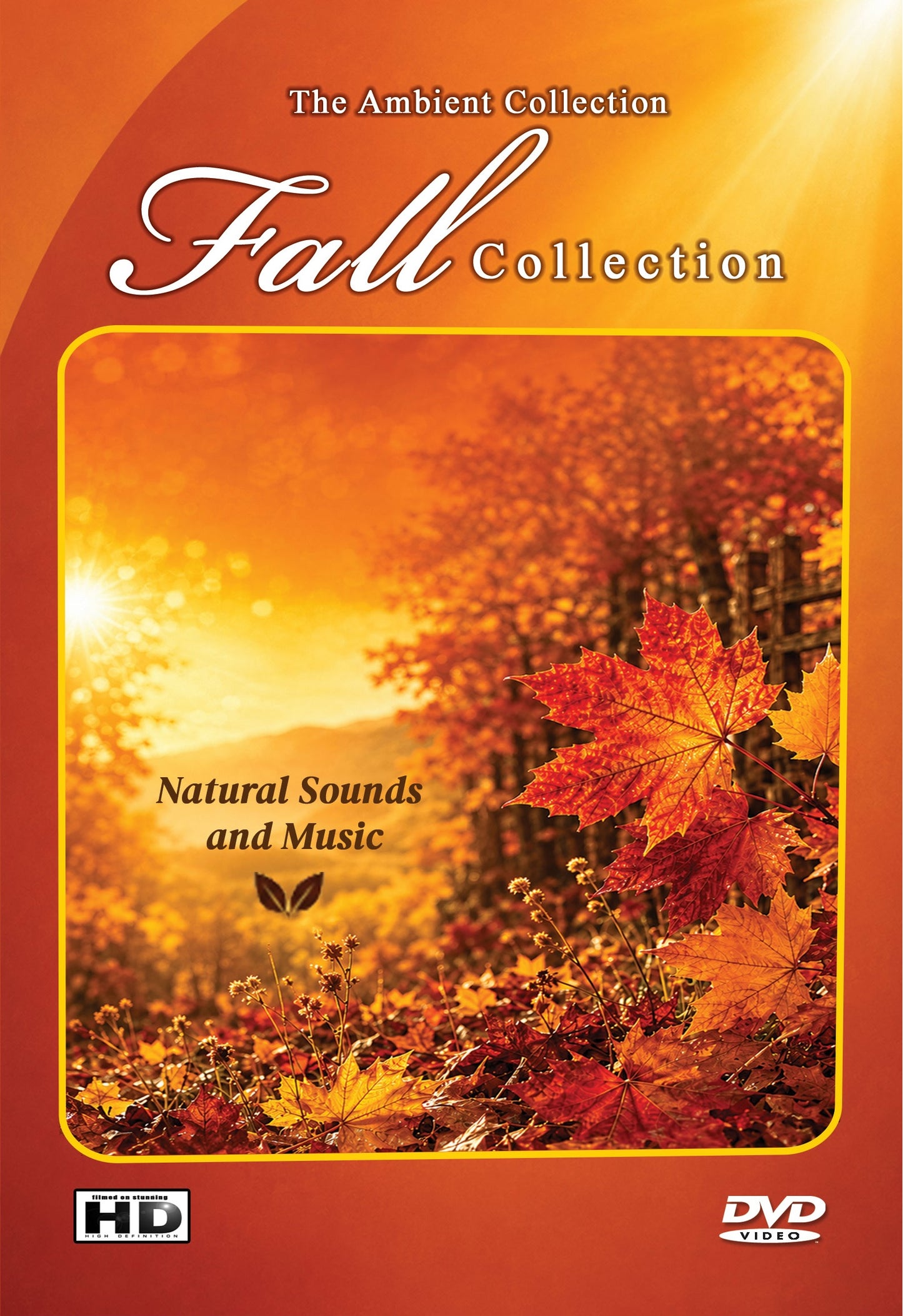 Fall Collection