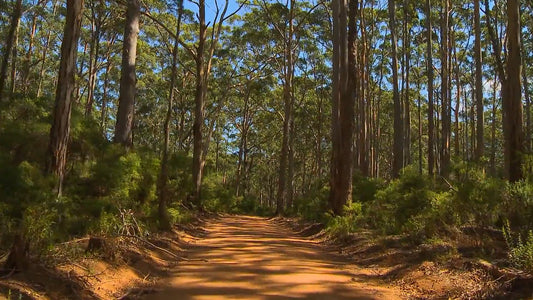 Fitness Journeys - Natural Scenery, for Indoor Walking, Treadmill and Cycling Workouts