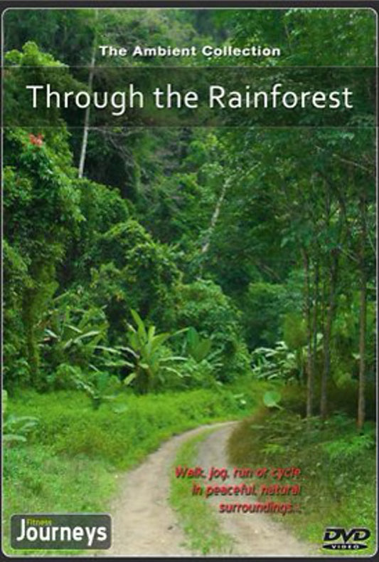 Fitness Journeys - Through the Rainforest