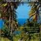 Fitness Journeys - Tropical Palm Trees