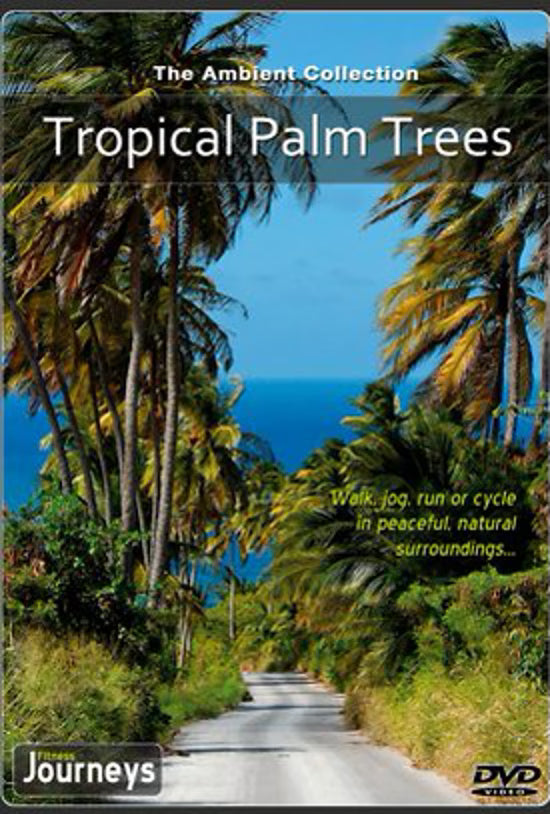 Fitness Journeys - Tropical Palm Trees