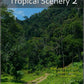 Fitness Journeys - Tropical Scenery 2