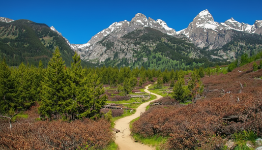 Virtual Cycle Rides - Grand Teton Wyoming, USA