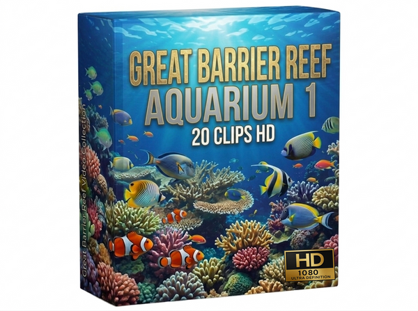 Creator Pack - 20 single clips of Great Barrier Reef Aquarium 1 (HD)