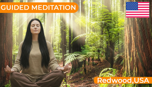 Guided Meditation - Nature Walk in Redwoods, USA