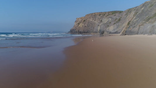 Guided Scenic Run – Atlantic Coastal Series