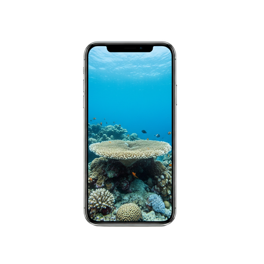 Vertical Creator Pack - 10 single clips of Hard Coral (4K UHD)