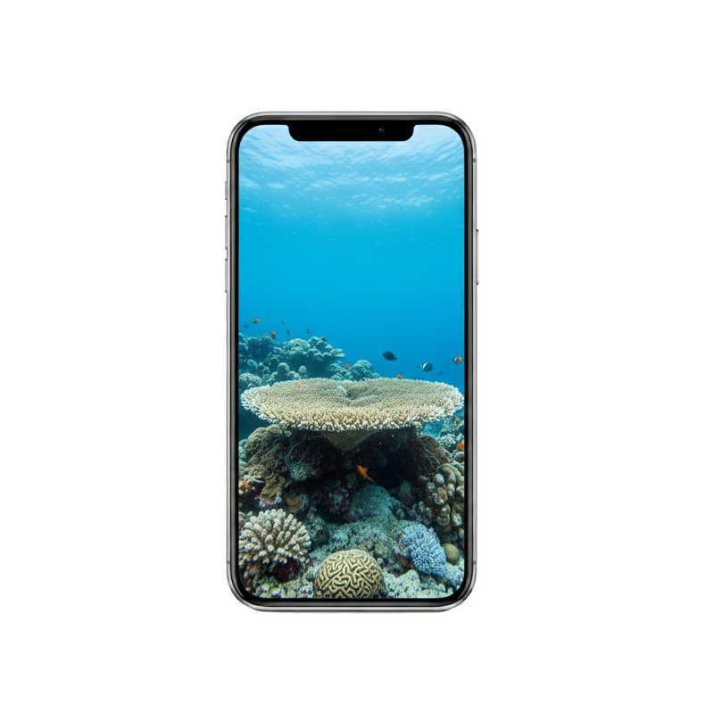 Vertical Creator Pack - 10 single clips of Hard Coral (4K UHD)