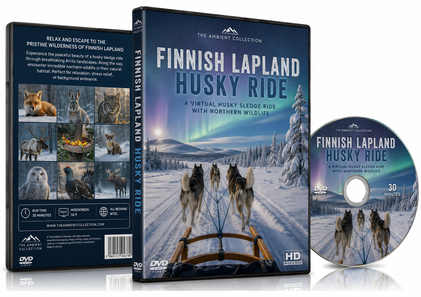 Finnish Lapland Husky Ride