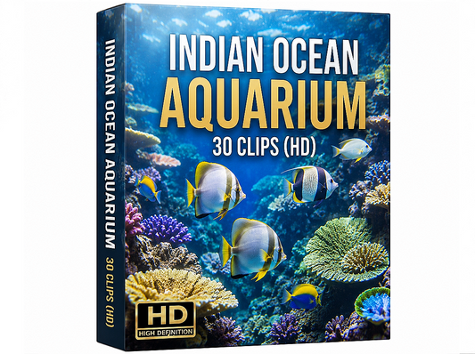 Creator Pack – 30 Single Clips of Indian Ocean Aquarium (HD)