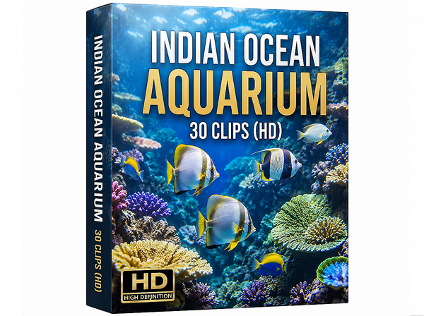 Creator Pack – 30 Single Clips of Indian Ocean Aquarium (HD)