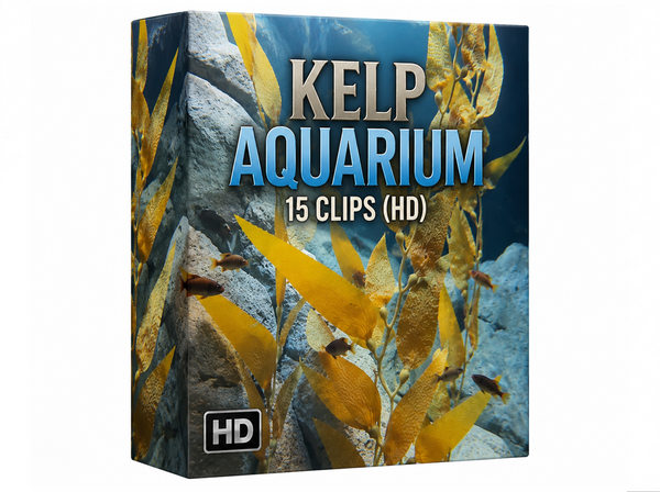 Creator Pack - 15 single clips of Kelp Aquarium (HD)