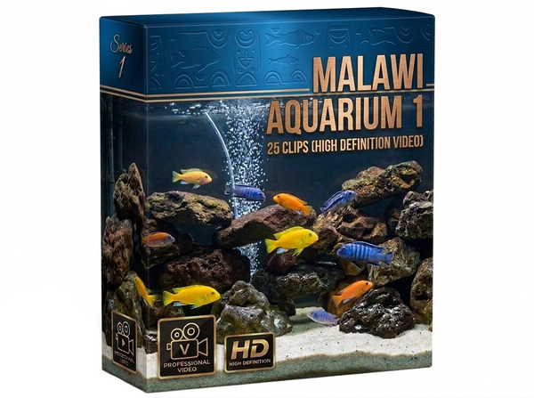 Creator Pack – 25 Single Clips of Malawi Aquarium 1 (HD)