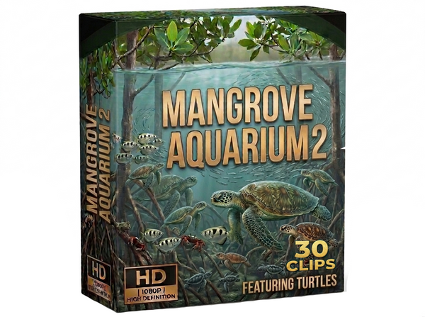 Creator Pack - 30 single clips of Mangrove Aquarium 2 (HD)