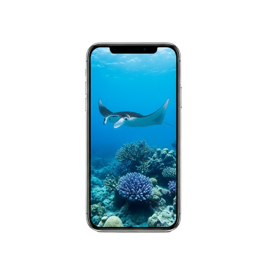 Vertical Creator Pack - 10 single clips of Manta ray (4K UHD)