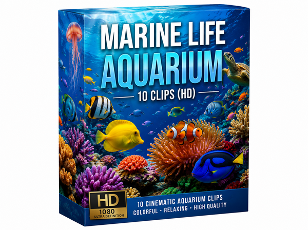 Creator Pack - 10 single clips of Marine Life Aquarium (HD)