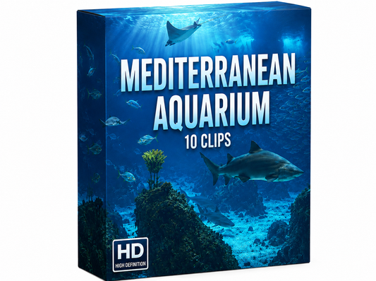 Creator Pack – 10 Single Clips of Mediterranean Aquarium (HD)