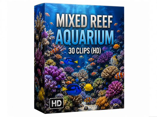 Creator Pack - 30 single clips of Mixed Reef Aquarium (HD)