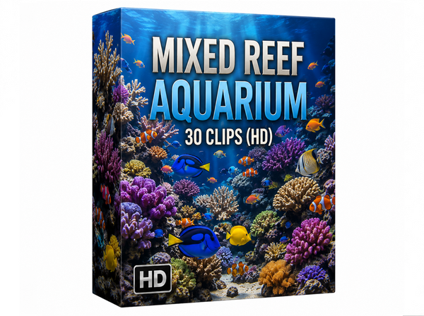 Creator Pack - 30 single clips of Mixed Reef Aquarium (HD)