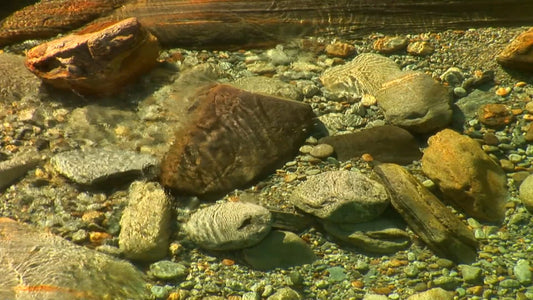 NATURE MUSIC TV - Water Melodies - Mystical Stones