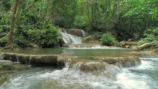 NATURE SOUND - Emerald Falls - Whispers of the Tropical Forest