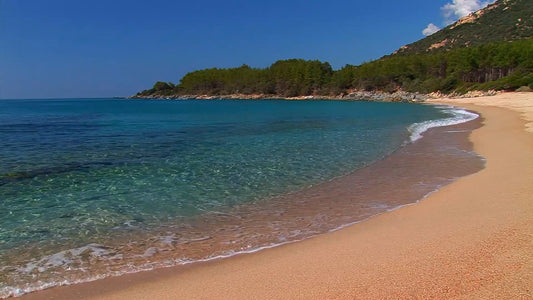 NATURE SOUND - Four Seasons - Summer with Nature Sounds