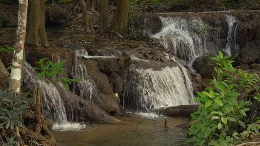 NATURE SOUND - Jungle Waterfall with Water Sounds