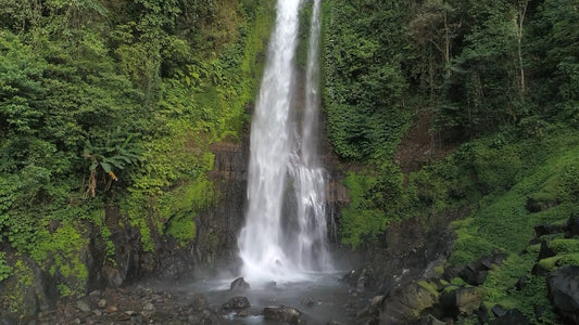 NATURE SOUND - Tropical Cascades with Nature Sounds