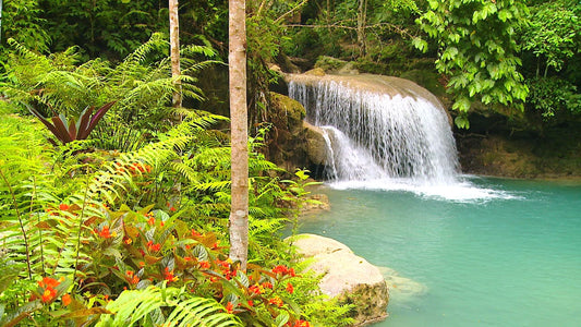 NATURE SOUND - Tropical Waterfall with Water and Jungle Bird Sounds