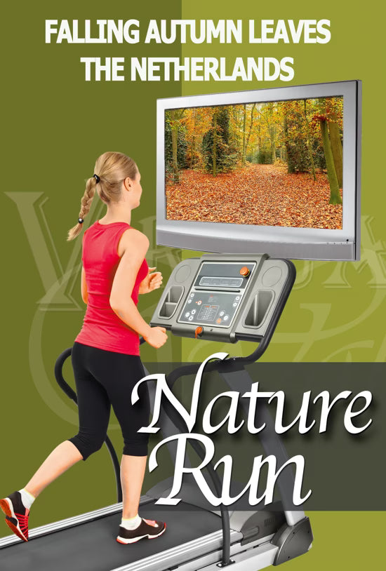 Nature Run - Falling Autumn Leaves - The Netherlands