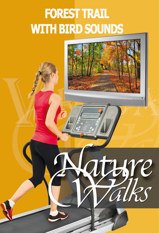 Nature Walk - Forest Trail with Bird Sounds