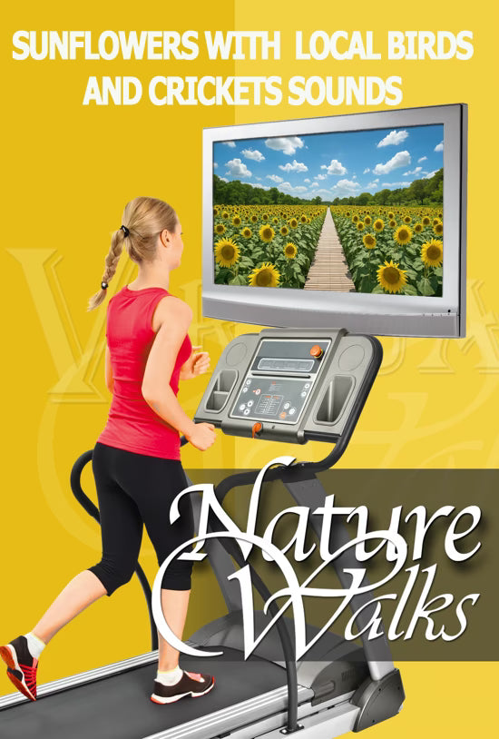 Nature Walk - Sunflowers with Local Birds and Crickets Sounds
