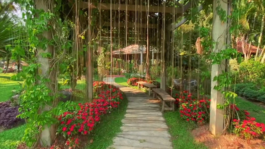 Nature Walk – Tropical Gardens