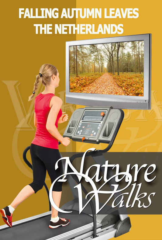 Nature Walk - Falling Autumn Leaves - The Netherlands