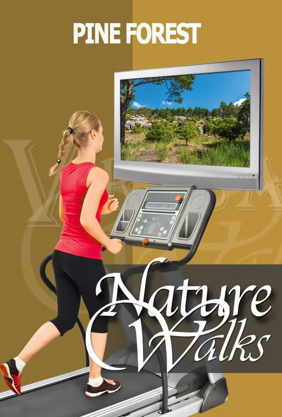 Nature Walk - Pine Forest - With Local Bird Songs