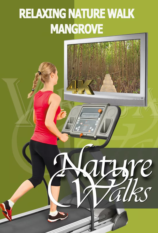 Relaxing Nature Walk - Mangrove