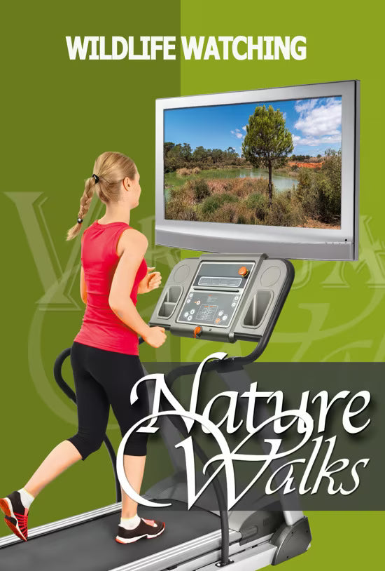 Virtual Nature Walks with Wildlife Watching and Bird Spotting with Animals and Nature Sounds