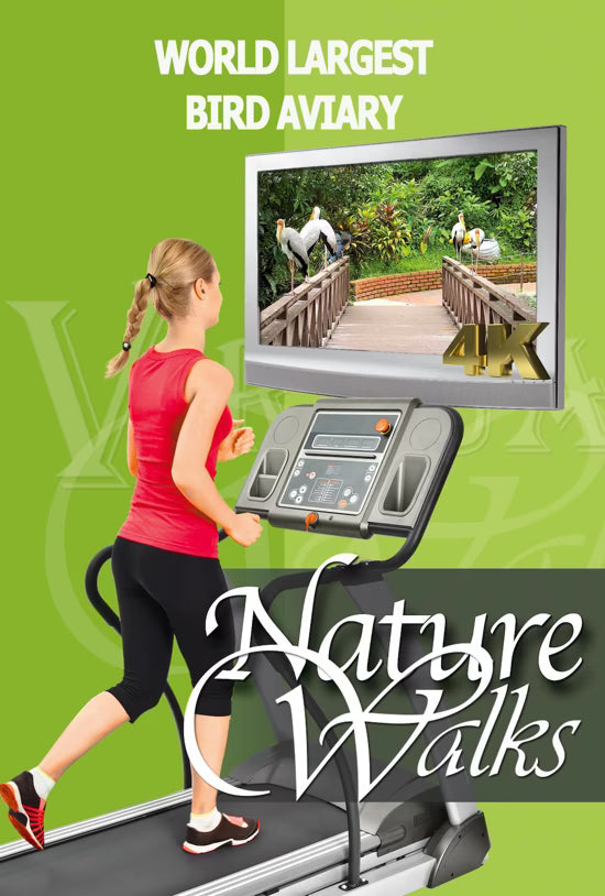 Nature Walk - World Largest Bird Aviary - Walk with the Tropical Birds