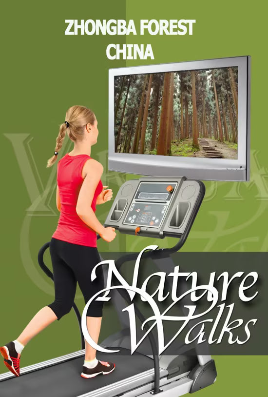 Nature Walk - Zhongba Forest - China