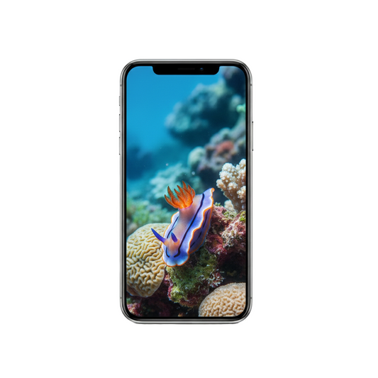 Vertical Creator Pack - 10 single clips of Nudibranch (4K UHD)