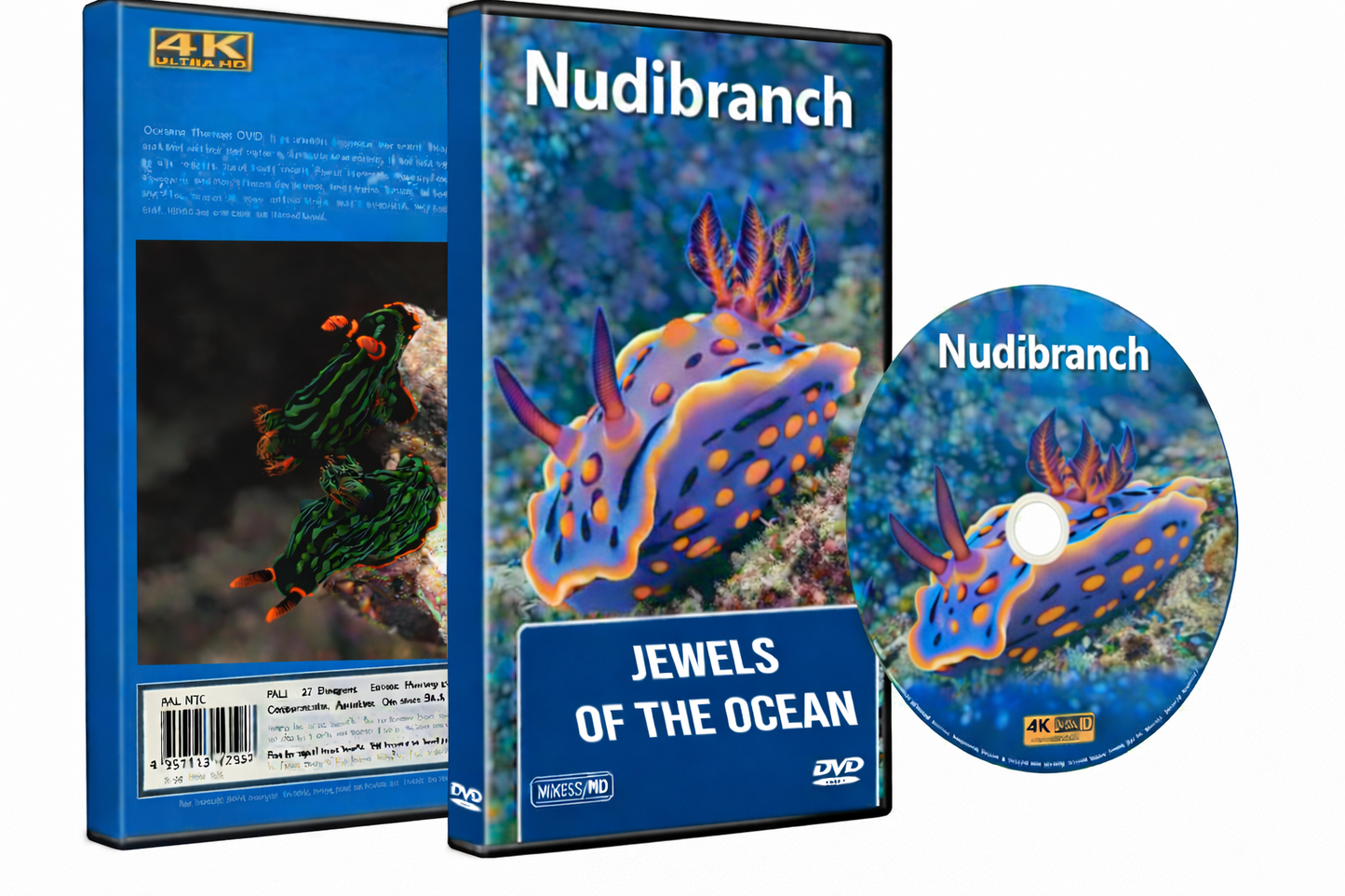 Nudibranchs - Jewels Of The Ocean