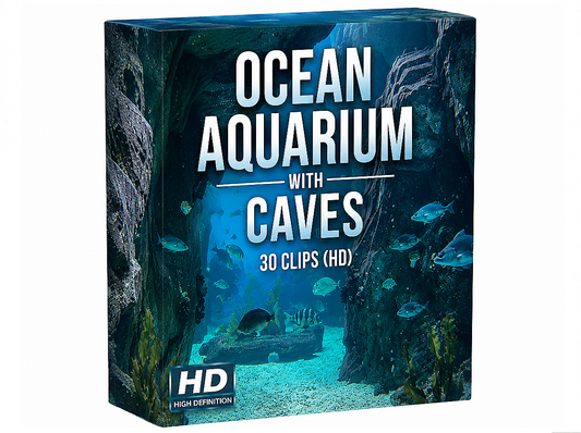 Creator Pack – 30 Single Clips of Ocean Aquarium With Caves (HD)