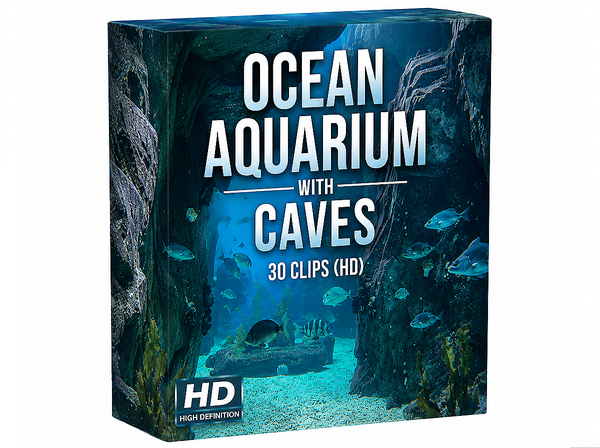 Creator Pack – 30 Single Clips of Ocean Aquarium With Caves (HD)