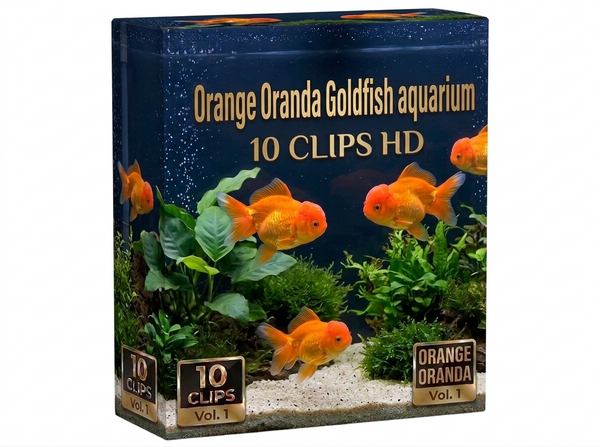 Creator Pack - 10 single clips of Orange Oranda Goldfish (HD)