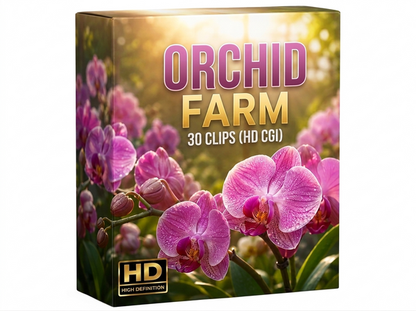 Creator Pack - 30 single clips of Orchid Farm 1 (HD)