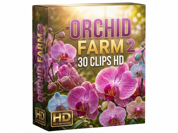 Creator Pack - 30 single clips of Orchid Farm 2 (HD)