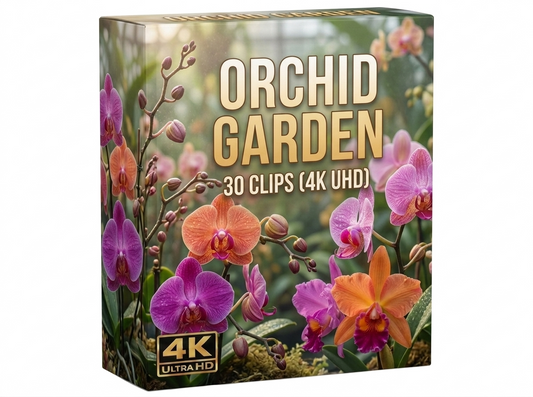 Creator Pack - 30 single clips of Orchid Garden (4K UHD)
