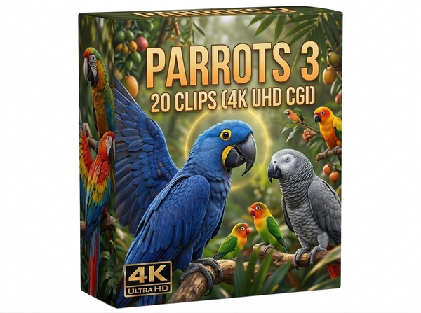 Creator Pack - 30 single clips of Parrots 3 (4K UHD)