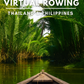 Virtual Rowing - Tropical Rivers with Rainforest and Lakes and Water Sounds